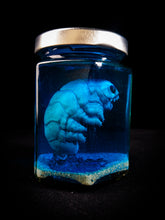 Load image into Gallery viewer, Dagon Extract: CRYPTIGRADE - EMBRYOZ
