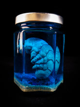 Load image into Gallery viewer, Dagon Extract: CRYPTIGRADE - EMBRYOZ
