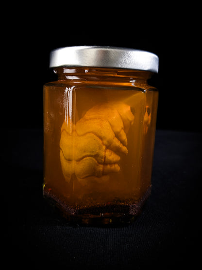 LCL Essence: CRYPTIGRADE - EMBRYOZ