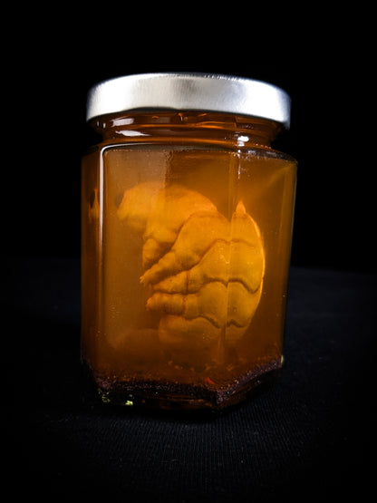 LCL Essence: CRYPTIGRADE - EMBRYOZ