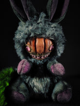 Load image into Gallery viewer, Radikinz - FRIEND Cryptid Art Doll Plush Toy
